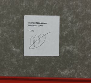 Marnix Goossens - Foto, Hibiscus - Ingelijst + gesigneerde tentoonstellingscatalogus kopen? Bied vanaf 250!