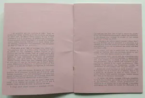 Grafisch Gezelschap de Luis - 2x catalogus met afbeeldingen van o.a. Peter Vos en Charles Donker kopen? Bied vanaf 20!