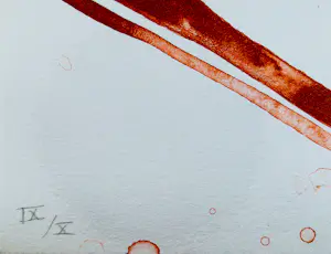 Ronald Noorman - Excl. 2006 box Go ahead Float - zeer kleine oplage (10) - met begeleid. brief! kopen? Bied vanaf 380!