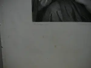 Cornelis Kruseman - De gevangen vlinder kopen? Bied vanaf 20!