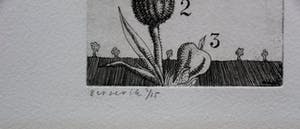 Herman Berserik - ets: Bloem - oplage slechts 15 stuks kopen? Bied vanaf 60!