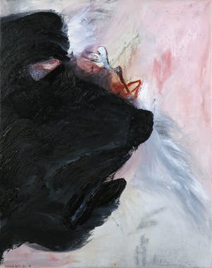 Rachid Ben Ali - Acryl op doek, Hondenkop kopen? Bied vanaf 1!