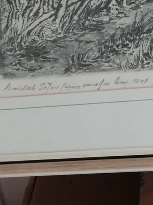Toon de Jong - basilisk st jans kopen? Bied vanaf 25!