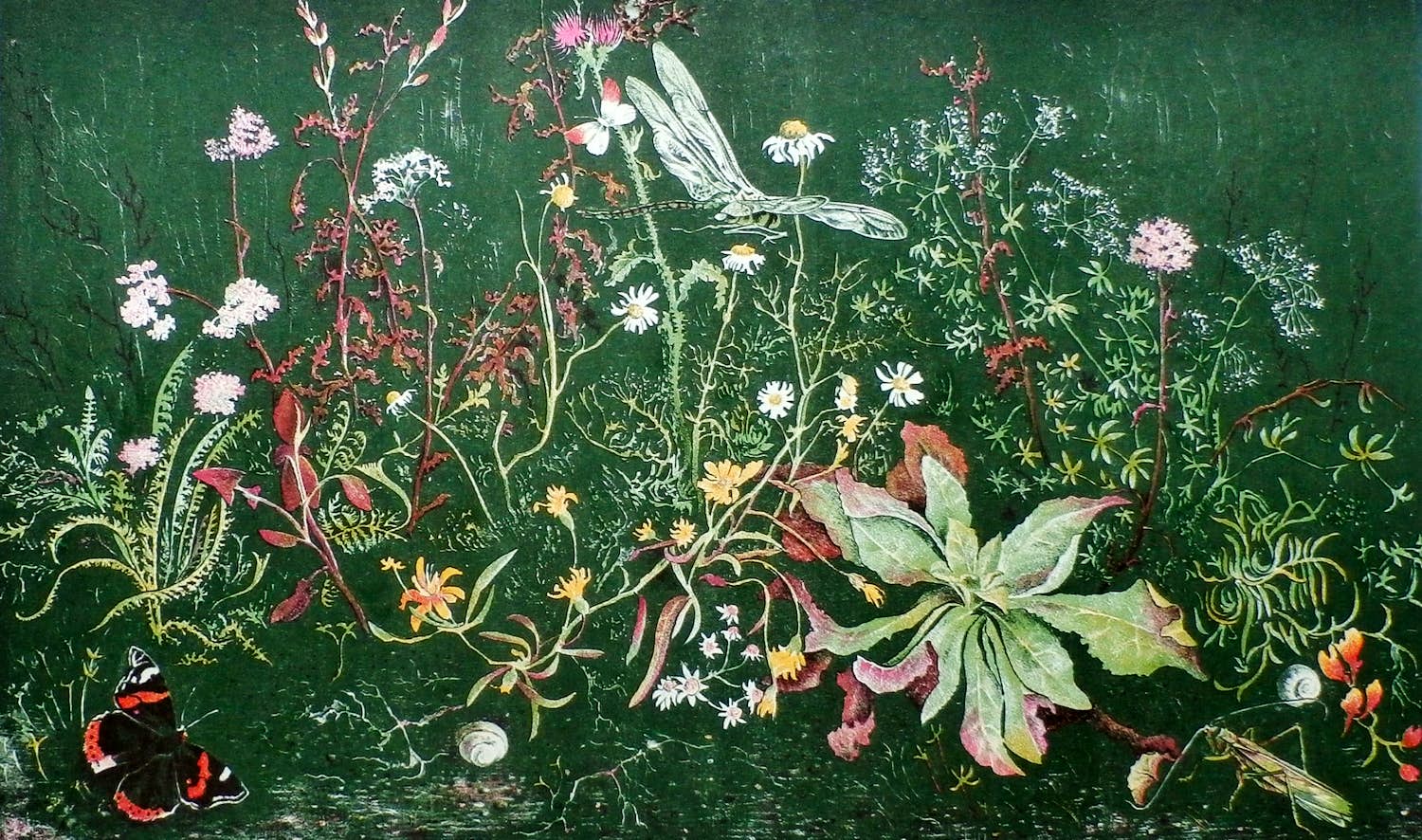 Wim Schuhmacher - Litho: Stilleven: Bloemen, vlinders en insecten verkocht voor € 20!