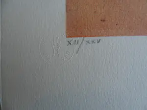 Jean-Paul Cleren - Litho ,Titel. Een gezicht in veiligheid. kopen? Bied vanaf 25!