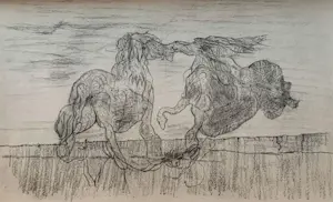 Max Ernst - Map met 34 werken: Histoire Naturelle - 1972 kaufen? Bieten Sie von 499!
