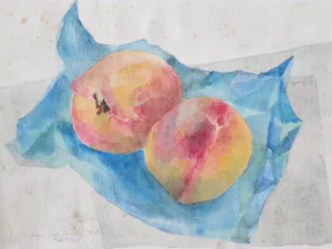 Jos van den Berg - Twee perziken op tafel - Aquarel kopen? Bied vanaf 30!