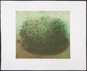 Arthur Stam - Ets en aquatint, Warm bosje kopen? Bied vanaf 20!