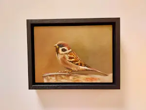 Hans Habraken - Het musje kopen? Bied vanaf 169!