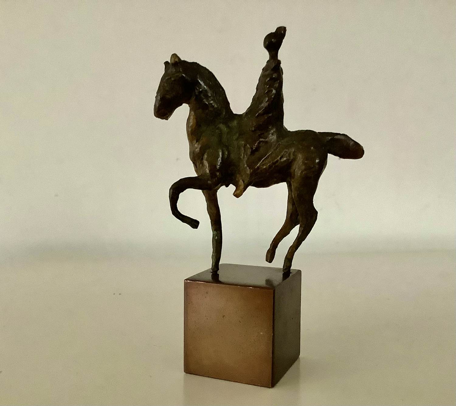 Loek Bos - Amazone kopen? Bied vanaf 295!