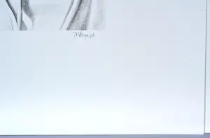 Roger Wittevrongel - Zeefdruk - Gesigneerd - 42x55 cm - 1977 kopen? Bied vanaf 120!