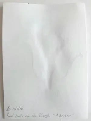 Paul Louis van den Bergh - Acryl op papier - “Matriarch” - Gesigneerd kopen? Bied vanaf 100!