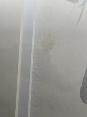 Hen Euverman - stilleven - bloemen kopen? Bied vanaf 20!