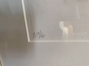 Josum Walstra - Zeilen kopen? Bied vanaf 25!