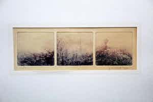 Frits Drent - Ets - 1971 verkocht voor € 35!