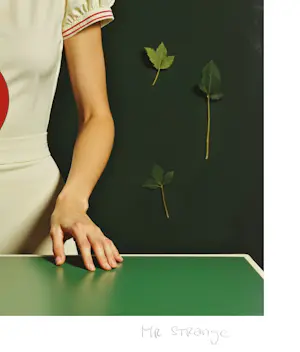 Mr Strange - Speel je tafeltennis? kopen? Bied vanaf 85!