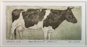 Han van Hagen - Dubbele kleurets/aquatint met koeien | Grottekening & Melkunie prent kopen? Bied vanaf 49!