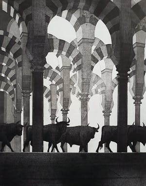 Rene Polak - De stieren van Cordoba, aquatint ets kopen? Bied vanaf 50!