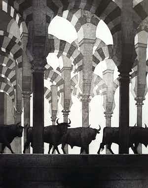 Rene Polak - De stieren van Cordoba, aquatint ets verkocht voor € 50!