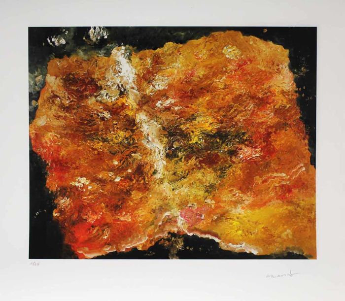 Armando - Gr Kleurengiclee DAS BUCH Handgesigneerd verkocht voor € 159!