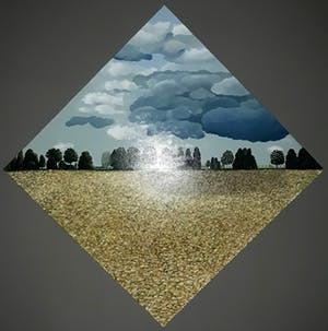 Erna van Mondfrans - Landschap met karweizaad, olieverf op doek (groot) kopen? Bied vanaf 275!