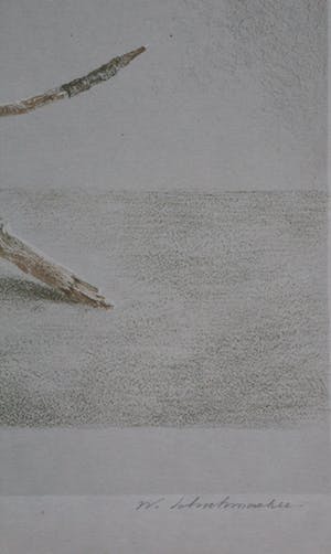 Wim Schuhmacher - litho: Corpus Christi met een dode meeuw kopen? Bied vanaf 40!