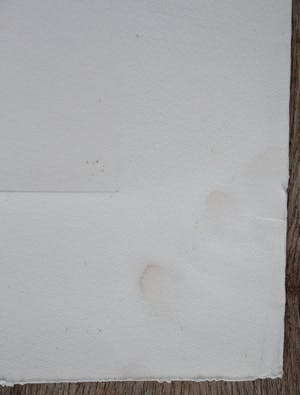 Gerti Bierenbroodspot - Gevallen Engel - 2 kleuren ets 1974 kopen? Bied vanaf 10!