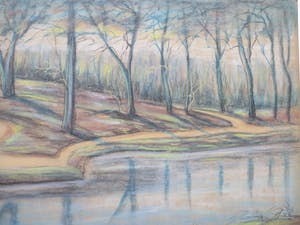 Romke faber - Bosgezicht bij vijver - Pastel kopen? Bied vanaf 70!