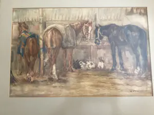 Willem Stern - Eerste paarden van paardenhandelaar Gerrit Thoolen te Haarlem kopen? Bied vanaf 350!