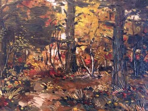 Janus Sibens - Boslandschap kopen? Bied vanaf 50!