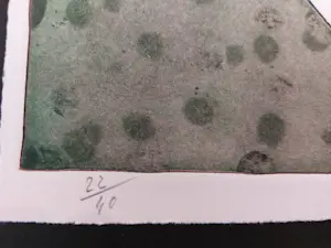 Reinhoud D'Haese - ets- Titel: Hij en zij - oplage 40 stuks - handgesigneerd en ingelijst kopen? Bied vanaf 190!