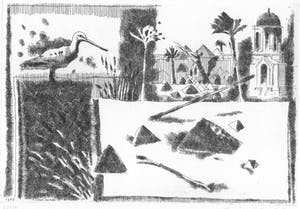 Simon Koene - Ibis (Egypte) kopen? Bied vanaf 20!