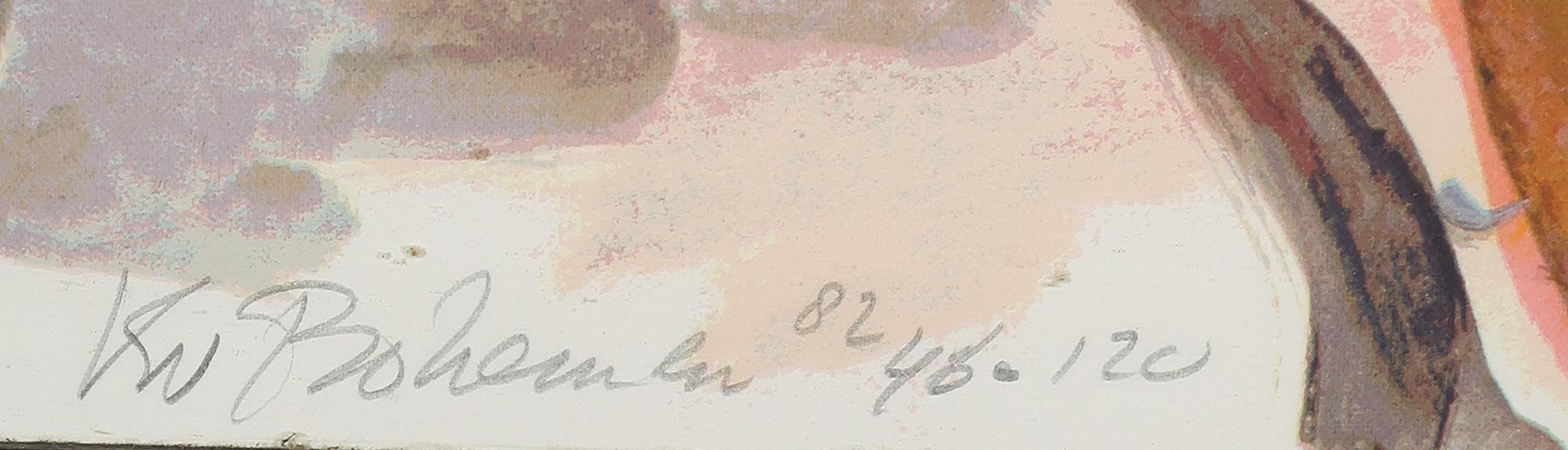 Kees van Bohemen - Litho, Haan - Ingelijst kopen? Bied vanaf 150!