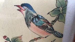 Niet of onleesbaar gesigneerd - Paradijsvogels kopen? Bied vanaf 1!