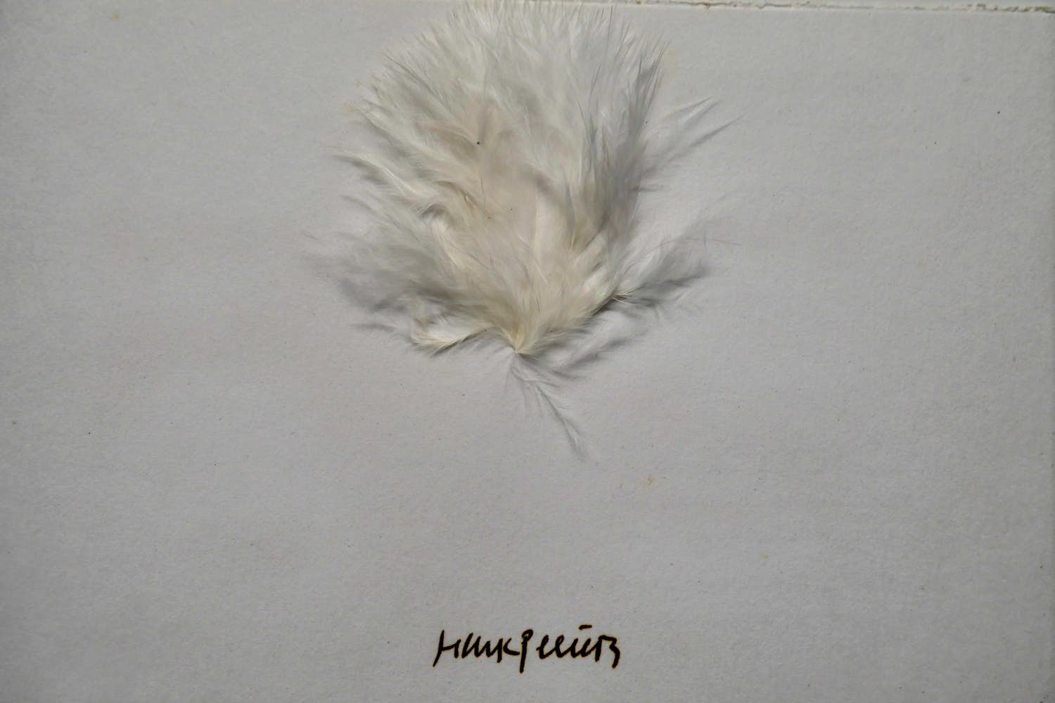 Henk Peeters - Zero - Veertje verkocht voor € 1!