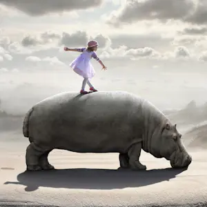 Dariusz Klimczak - 'Hippodance' (2012) kopen? Bied vanaf 85!