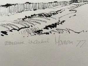 Jan Homan - FRIESLAND kopen? Bied vanaf 35!