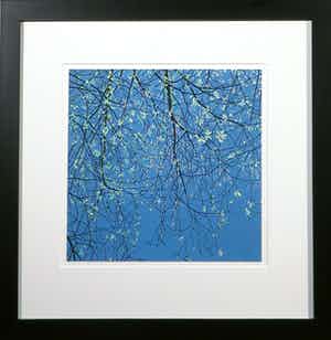 Grietje Postma - Houtsnede, Zonder titel - Ingelijst verkocht voor € 60!