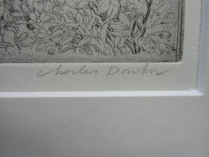 Charles Donker - BOS X kopen? Bied vanaf 160!