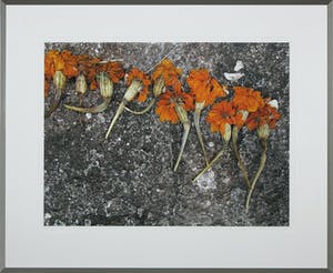Mark Verdoes - Giclee, Offerrij - Ingelijst kopen? Bied vanaf 1!