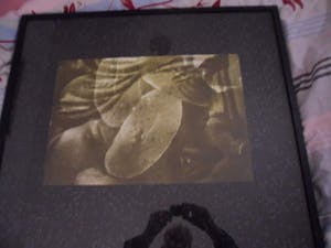 Titus Nolte - Zeefdruk, Titel ,"Groen". Ingelijst kopen? Bied vanaf 10!