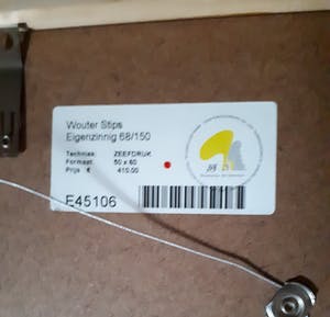 Wouter Stips - Eigenzinnig - ingelijst kopen? Bied vanaf 40!