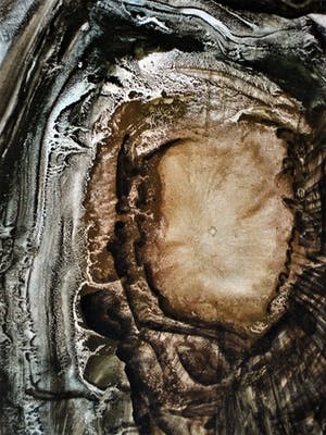 Niet of onleesbaar gesigneerd - Geen titel kopen? Bied vanaf 1!