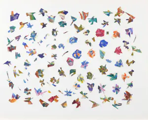 Liz Strick - Collage, Fall fragments kopen? Bied vanaf 1!