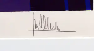 Ton Schulten - Zeefdruk, In volle bloei - Ingelijst kopen? Bied vanaf 300!