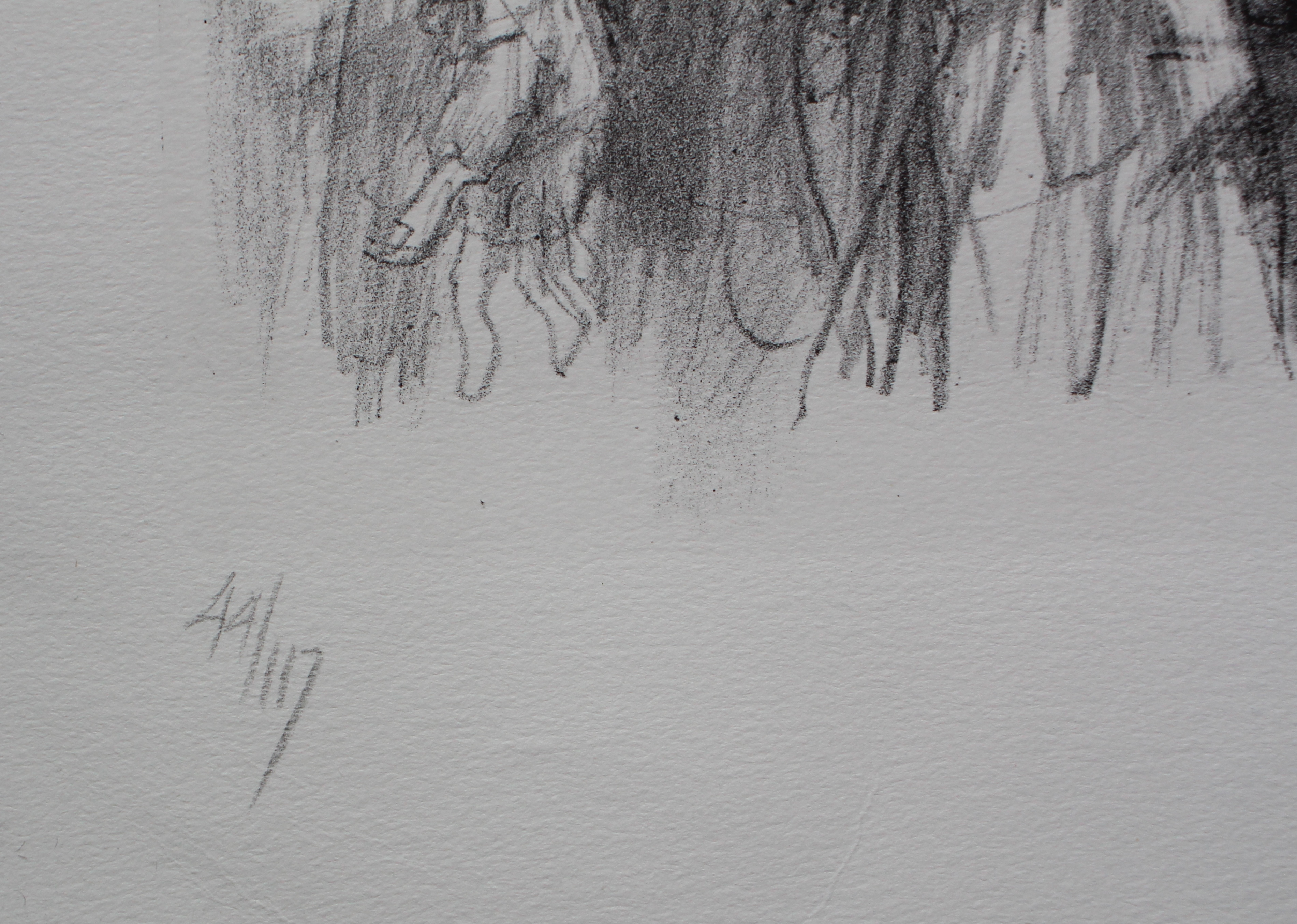 Piet Klaasse - litho: Der Taube - 1983 kopen? Bied vanaf 35!