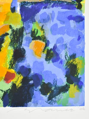 Willem Brauck - Les couleurs de Provence kopen? Bied vanaf 25!