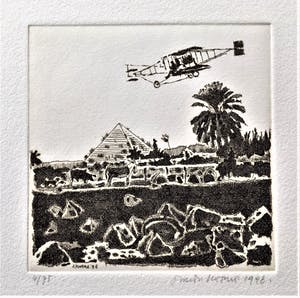 Simon Koene - De vliegende mens (2) kopen? Bied vanaf 20!