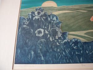 Ank Spronk - Kleurets / Preegdruk. Titel, "Vluchtig samengaan". kopen? Bied vanaf 45!