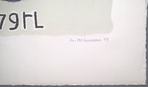 Reinier Lucassen - IS ART - gesigneerde zeefdruk kopen? Bied vanaf 125!